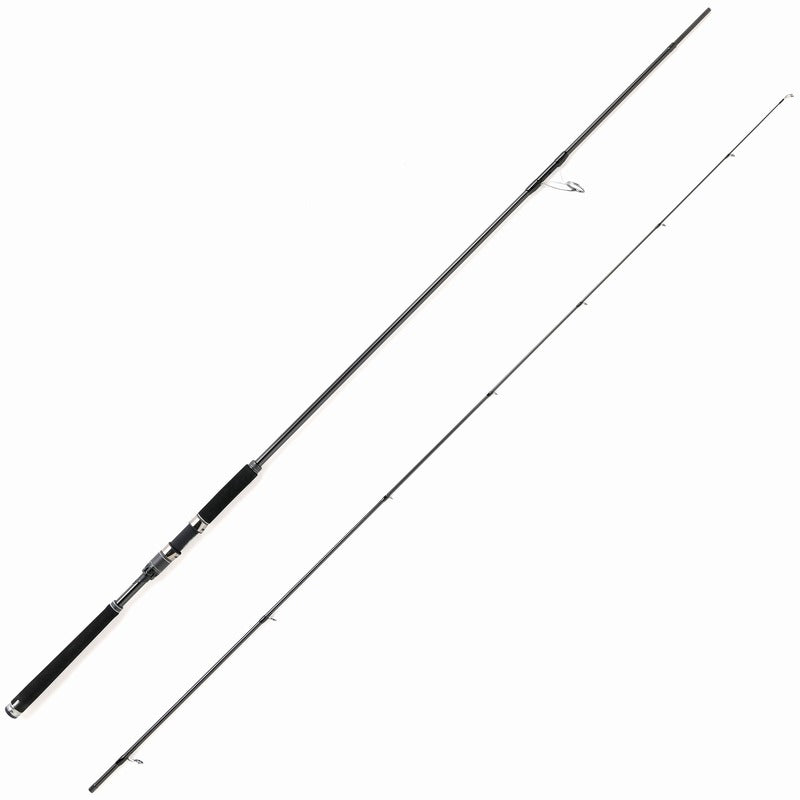 Pure Fishing Japan Seabass Rod Salty Stage PT Seabass XSBS-1002MMH (Spinning 2 Piece)