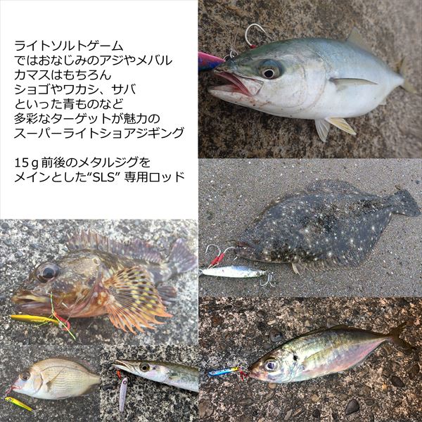 Abu Garcia Seabass Rod Salty Stage PT Super LSG XSLS-1052SL (Spinning 2 Piece)