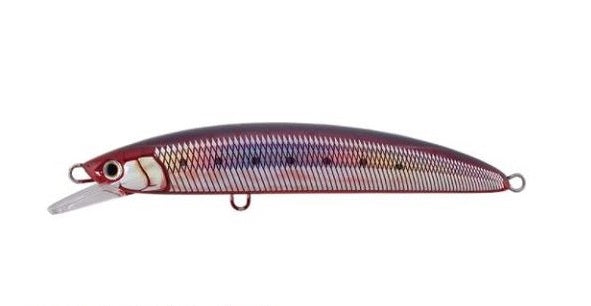 Maria Offshore Plug Boar SS195 B02D Sardine