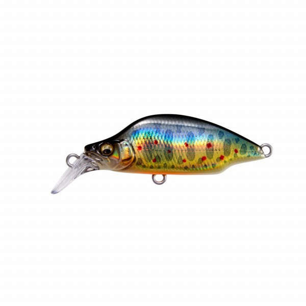 best lure for dam fishing The Best Lures For Catching Bass In Ponds: 6 Baits That Work All Year   Mystery Tackle Box