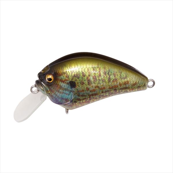 Megabass Bass Lure IxI Blowly Pumpkin Seed