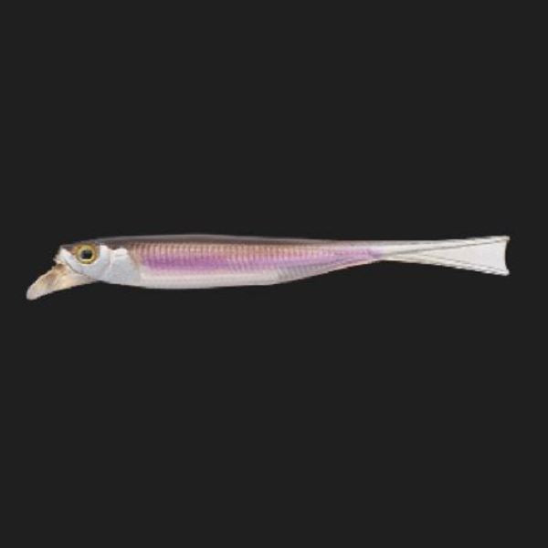 Jackall Worm Drift Fry 4.0inch Ghost Smelt