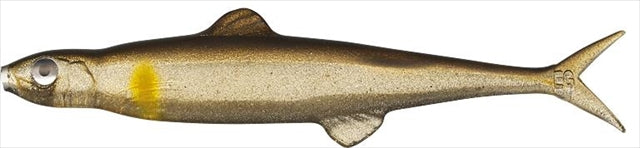 Evergreen Worm Fact Last Ace 75 #14 Ayu