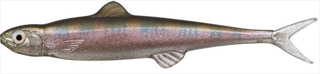 Evergreen Worm Fact Last Ace 75 #55 Oikawa