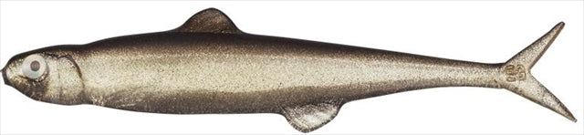 Evergreen Worm Fact Last Ace 75 #57 Trick Shad