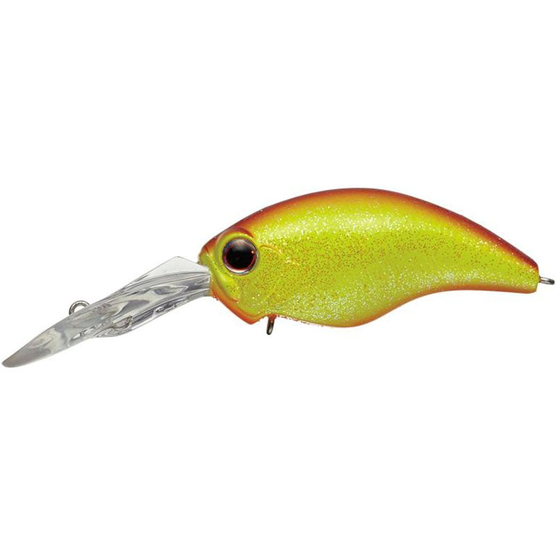 新品】EVERGREEN MODO WILD HUNCH 8フッター6セット 【公式通販】