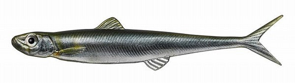 Evergreen Worm Fact Last Ace 110F #14 Ayu