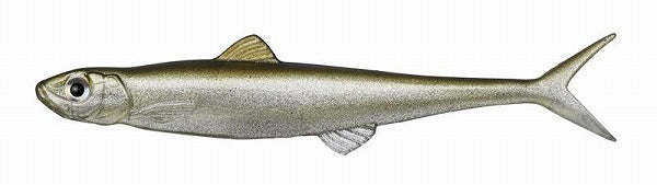 Evergreen Worm Fact Last Ace 110F #57 Trick Shad