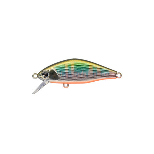 AMS Design (ima) issen 45S Max Oikawa Orange Berry