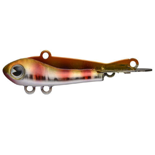 ima SW 320V gaur Maze Apricot