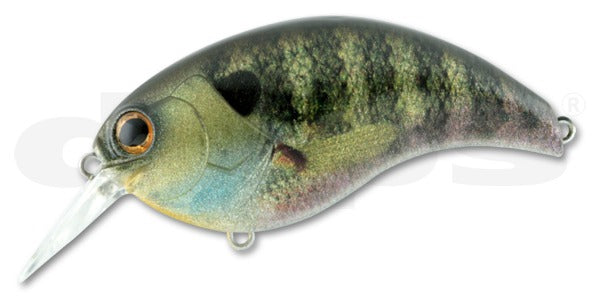 Deps Bass Lure Evoke 3.0 #01 Real Bluegill