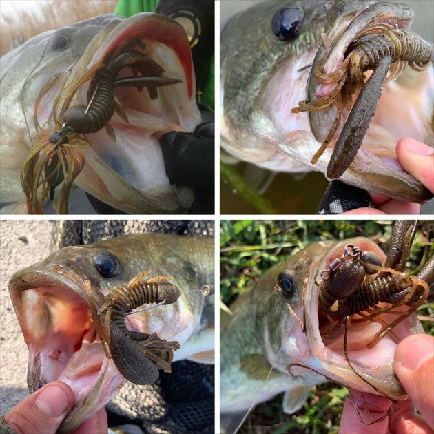 Daiwa Worm Rattlin Tube Hog 3.1 Pink Shrimp