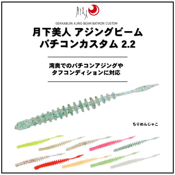 Daiwa Worm Gekkabijin Ajing Beam Batikon Custom 2.2inch Dried young sardine