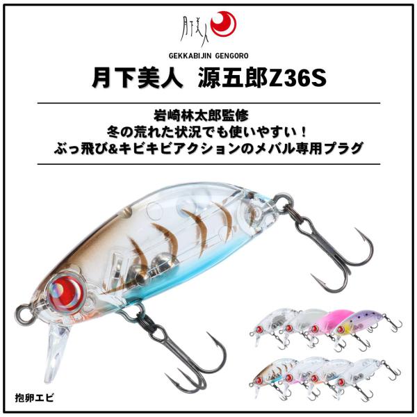 Daiwa Saltwater Plug Gekkabijin Gengoro Z 36S Egg-carrying shrimp