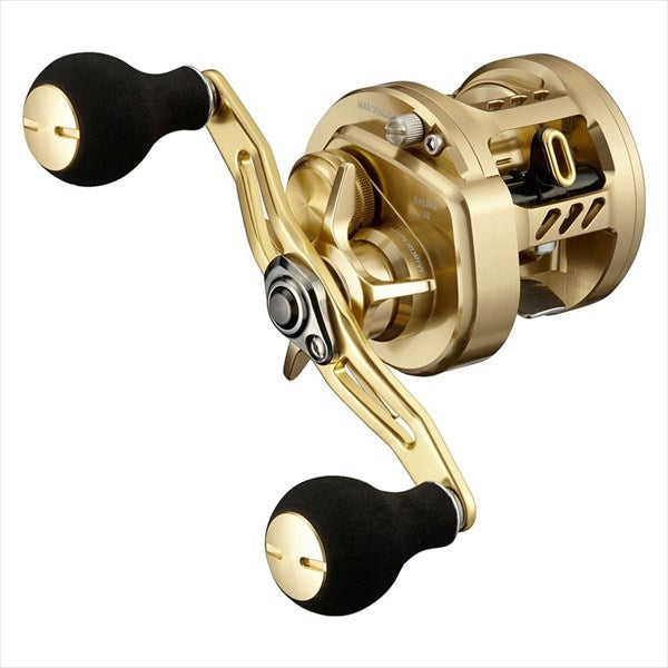 リール DAIWA BASARA 100 Daiwa 21 Basara 100(Right Handle)