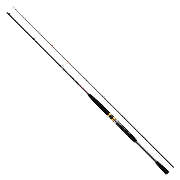 Daiwa Boat Rod Sea Flex 64 50-210/ N (Baitcasting 2 Piece)