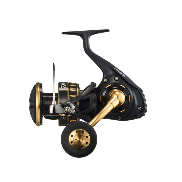 Daiwa 23 BG SW 8000-H