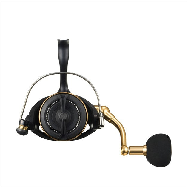 Daiwa 23 BG SW 8000-H