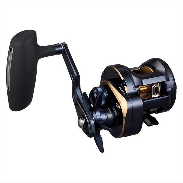 Daiwa 25 Saltiga 300 (Right handle)