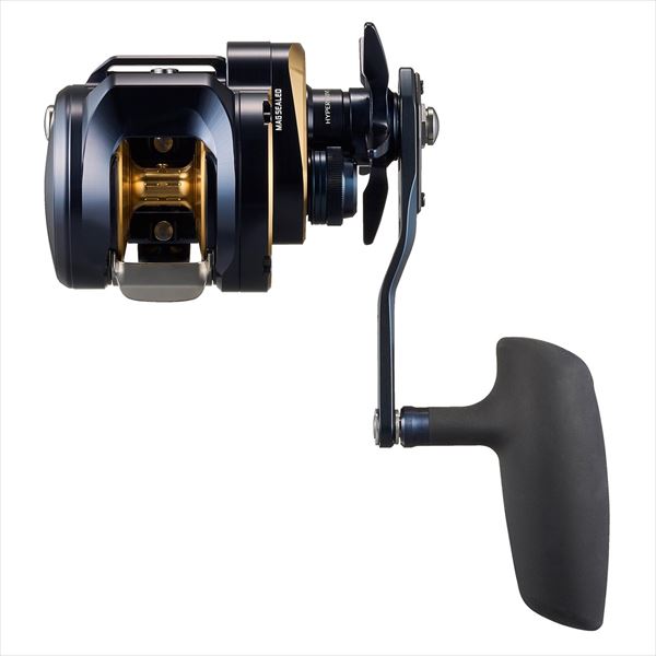 Daiwa 25 Saltiga 300 (Right handle)
