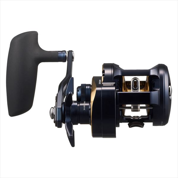 Daiwa 25 Saltiga 300 (Right handle)