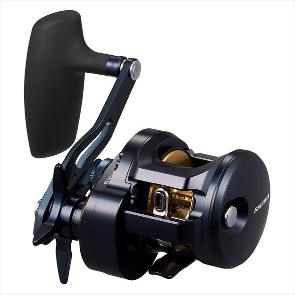 Daiwa 25 Saltiga 300 (Right handle)