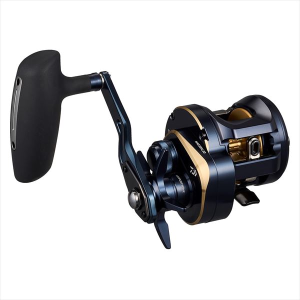 Daiwa 25 Saltiga 300H (Right handle)