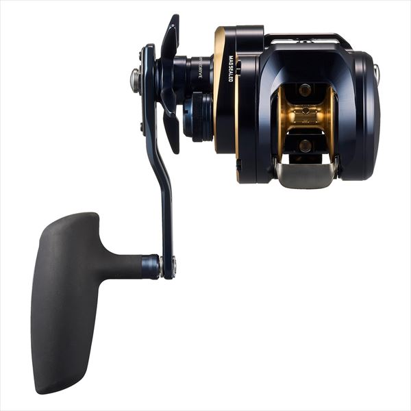 Daiwa 25 Saltiga 300HL (Left handed)