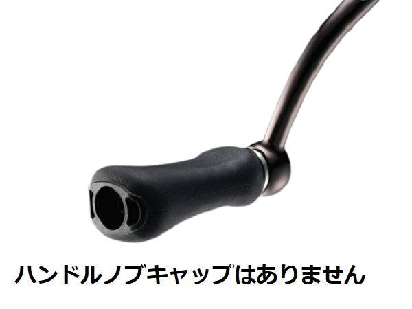 Daiwa 24 Luvias ST SF1000S-P