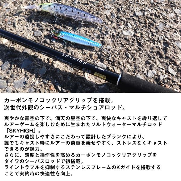 Daiwa Seabass Rod Sky High 100ML (Spinning 2 piece)