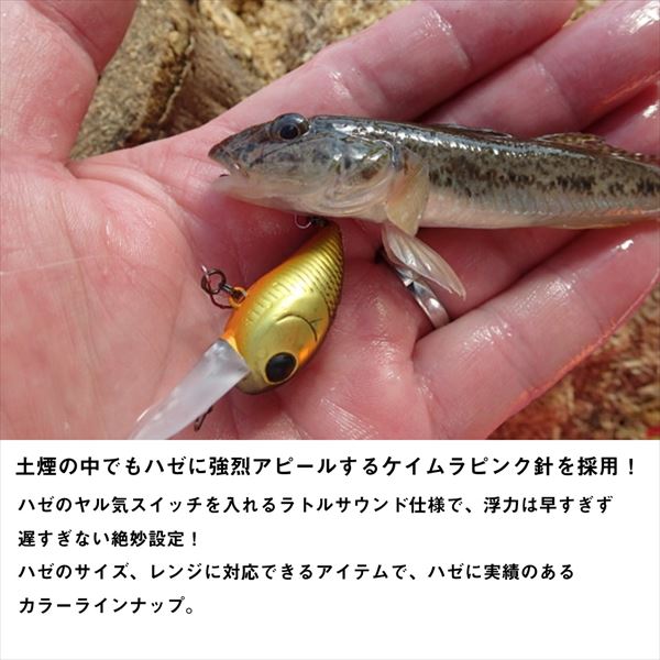 Daiwa Hazecra MR Clear Gold Stripe Shrimp