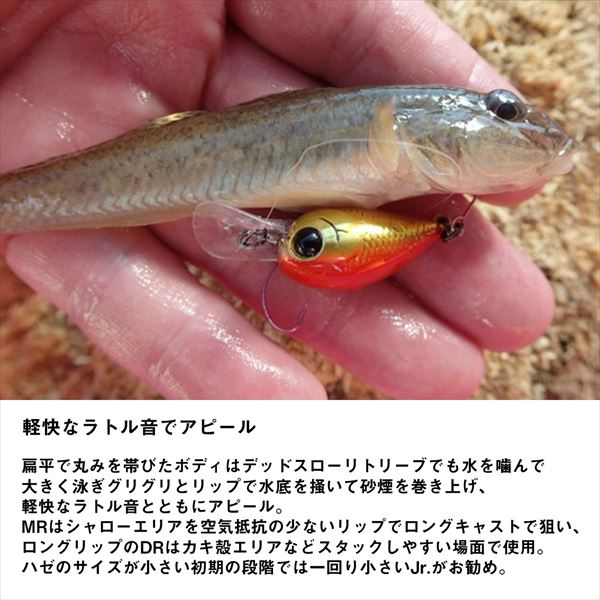 Daiwa Hazecra Jr Akakin