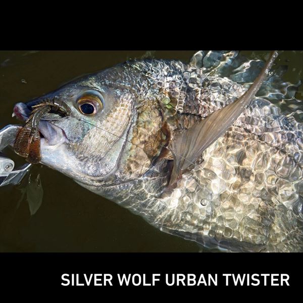 Daiwa Worm Silver Wolf Urban Twister 2.5inch Shrimp Miso Red Gold