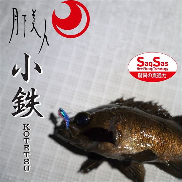 Daiwa Light SW Plug Gekkabijin Kotetsu 5g Akakin Zebra
