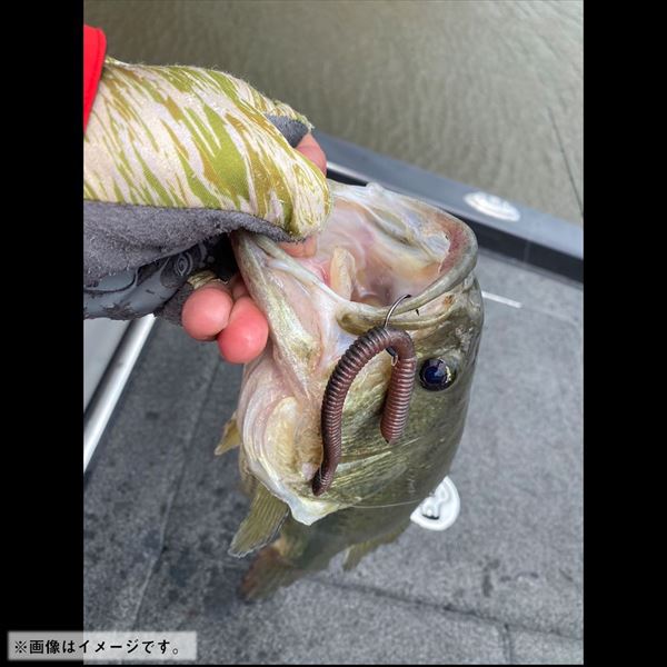 Daiwa Worm Steez Neko Straight 3.75inch Green Pumpkin Blue Flake