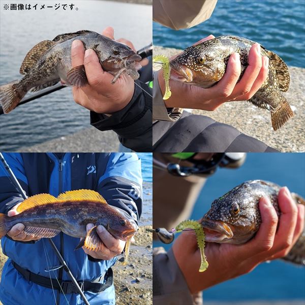 Daiwa Worm HRF Shad 2.6inch Rock Chart