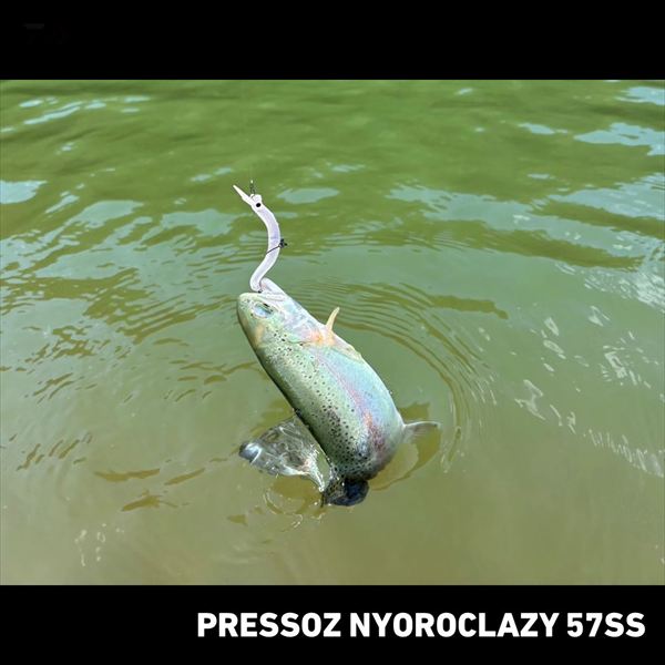 Daiwa Trout Plug Presso Nyoro Clazy 57SS Chick Piyo-chan