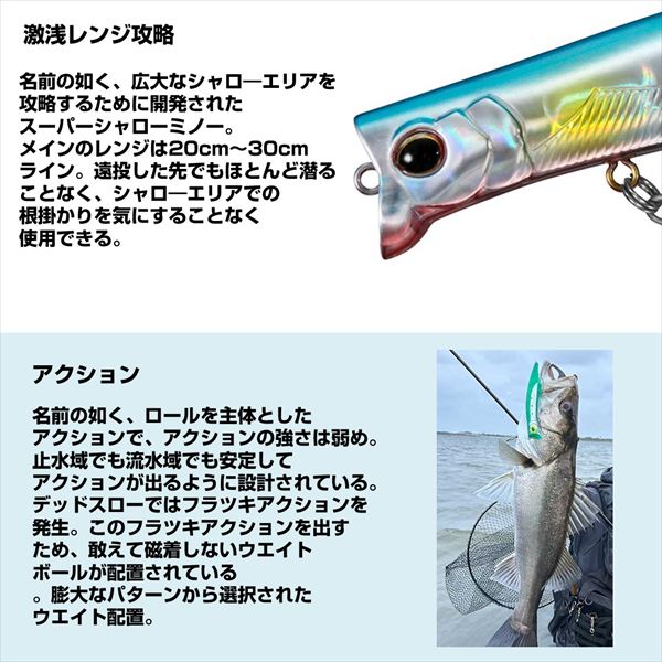 Daiwa Seabass Lure Morethan Sharoll 126F-SSR 3D Inakko