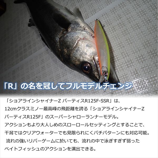 Daiwa Seabass Lure Shoreline Shiner-Z Vertis R 125F-SSR White Blue Eye