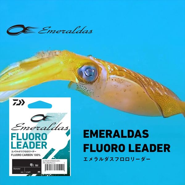 Daiwa Shock Leader Emeraldas Fluorocarbon leader #2-35m