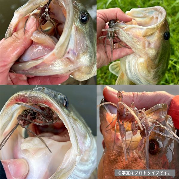 Daiwa Worm Steez Quad Phose Green Pumpkin