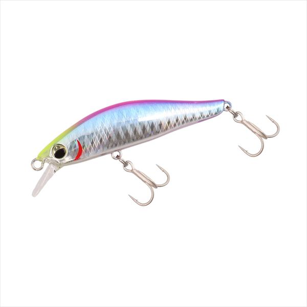 Daiwa Camas Hunter 55S DH Charthead Whitebait