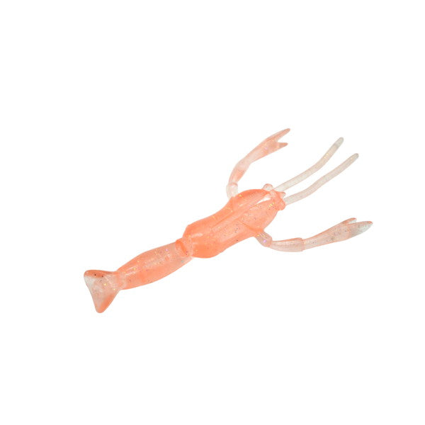 Dstyle Worm Ebison Boy Baby Shrimp