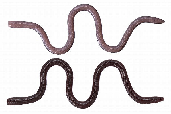 O.S.P Worm MMZ Deka TW203 Isomen