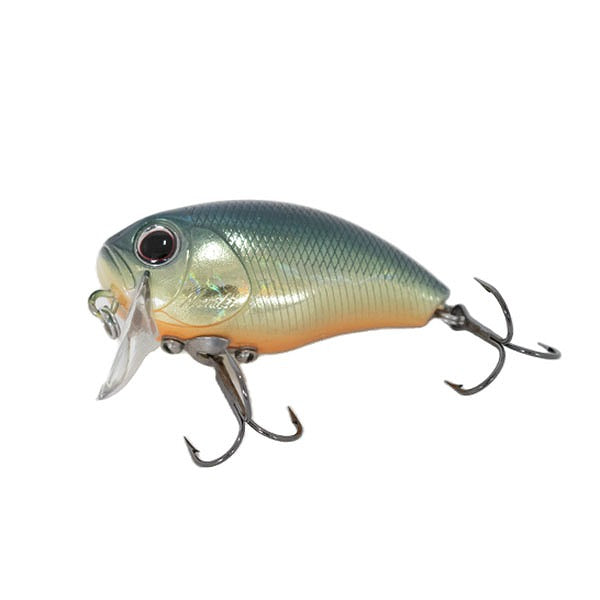 bass fishing with a sunfish lure O.S.P Bass lure Buzzn'Crank American Sunfish