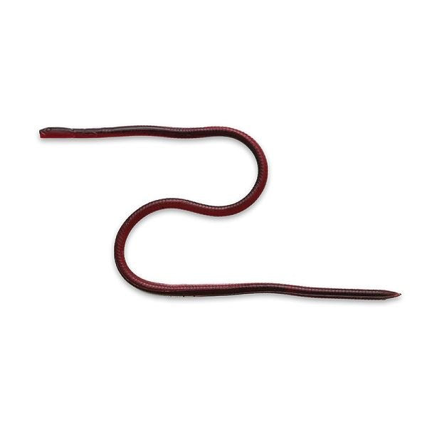 Imakatsu Worm Skinny eel Crawler 12inch #S-516 Imae GP Pepper