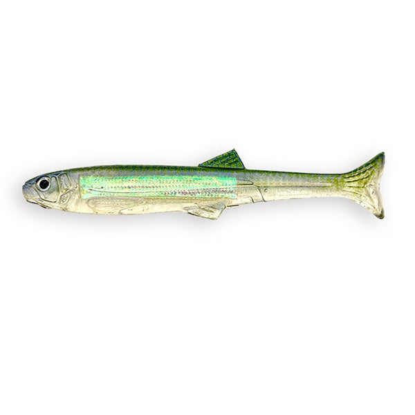 Imakatsu Worm Huddle Swimmer 4inch Flash plate & Real color #S-624 Blue Stripe Shad (Rainbow)