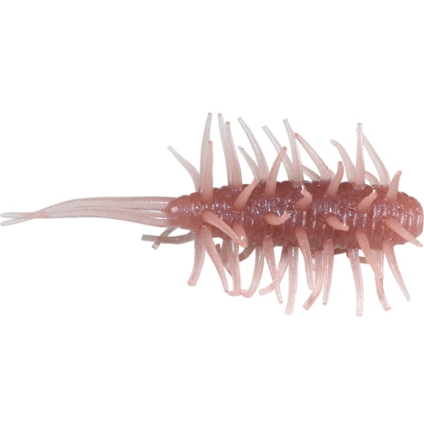Hideup Worm Coike Shrimp #069 Bomber Pink