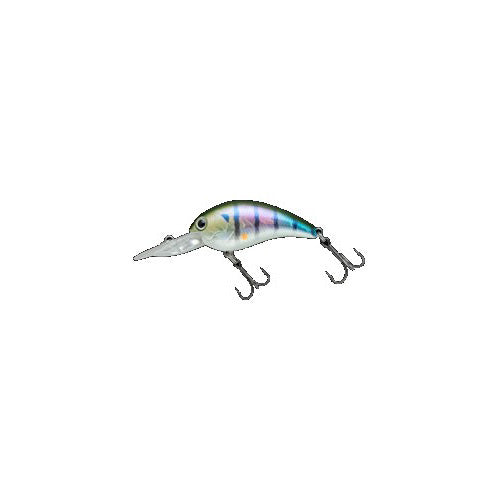 Nories Bass Lure Worming Crank Shot Full Size Hologram Flashing Gill