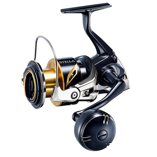 Shimano 20 Stella SW 6000PG